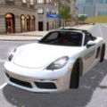 美国高速驾驶模拟器游戏