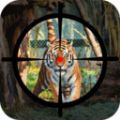 森林动物大狩猎游戏