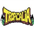 Tropicalia中文版